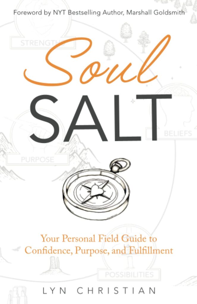 Book - soul salt by Lyn Christian