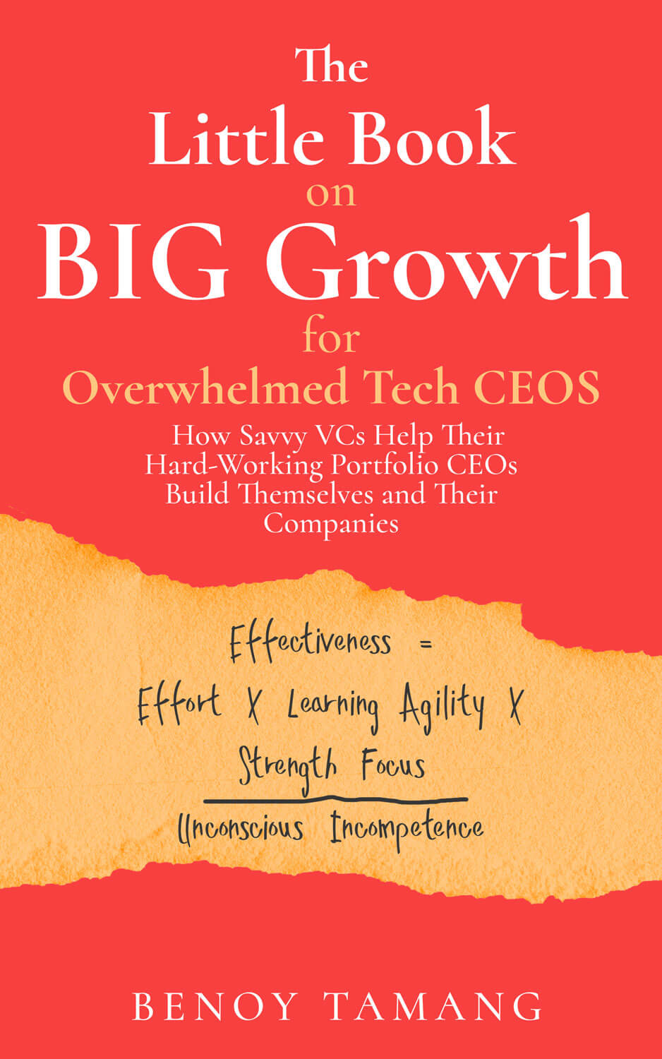 The Little Book on BIG Growth for Overwhelmed Tech CEOs